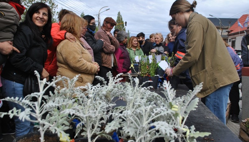 La Direcciòn de Espacios Verdes del Municipio hizo entrega de 800 plantines.