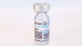 La vacuna argentina contra el Covid-19 completó la fase I
