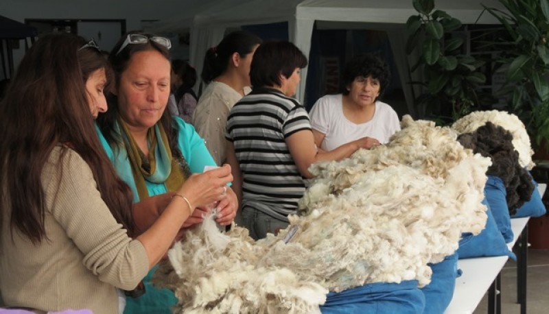 Más de 18 vellones participarán del concurso destinado a los pequeños productores laneros. 