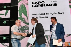Con producción de cannabis medicinal e industrial Argentina da un "paso estratégico"