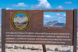 "Bosque Petrificado", una maravilla escondida en medio de la Patagonia