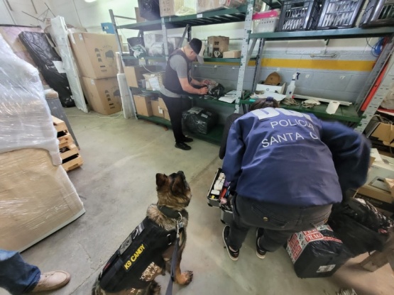 “Candy” encontró marihuana en dos controles