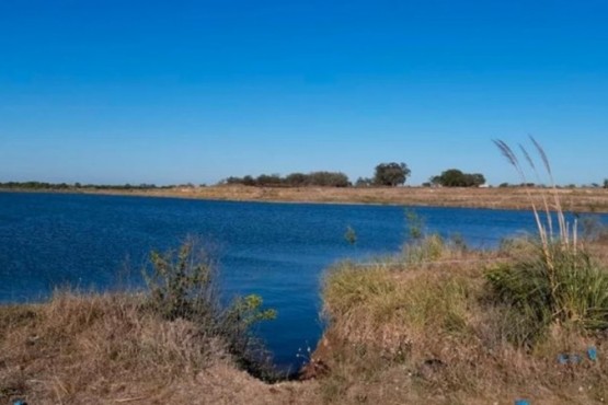 Detuvieron a un hijo del jubilado hallado asesinado dentro de un tanque de agua