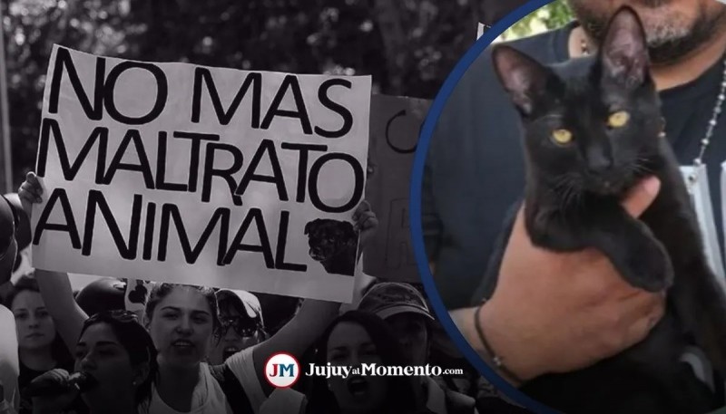 Protectoras marcharán en contra del Maltrato Animal en Jujuy.  