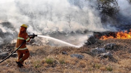 Incendios forestales en Córdoba. / Foto: Archivo.