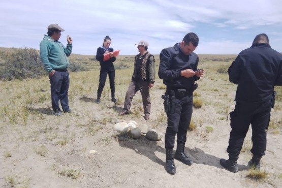 Encontraron restos óseos en un establecimiento rural 