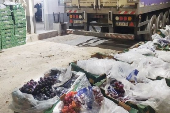 Decomisaron 1440 kilos de uvas que ingresaban irregularmente a la Patagonia