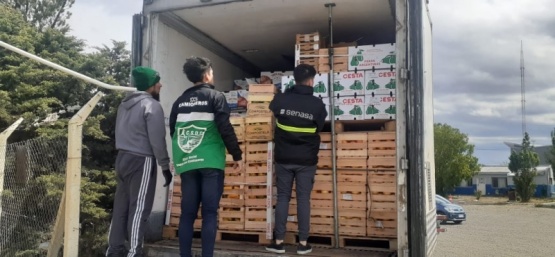 Se evitó la comercialización de 4 toneladas de frutas y hortalizas sin trazabilidad