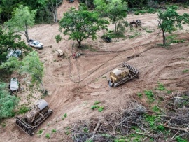 “Vemos la deforestación en el Amazonas, pero no en la región chaqueña”