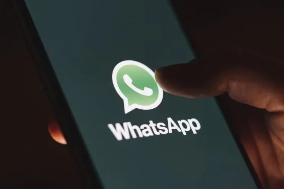 Qatar 2022: cómo seguir los partidos por WhatsApp