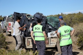 Ambiente continúa con el control de residuos pesqueros en península Valdés