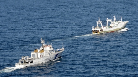Milko Schvartzman: “La pesca ilegal es uno de los problemas más grande que afecta a los océanos”