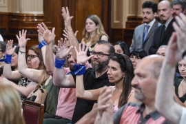 Avanzó en el Senado el proyecto que reconoce a la Lengua de Señas Argentina
