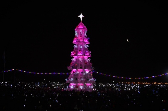 Con Topa de animador, se encenderà mañana el Árbol navideño de la ciudad. 