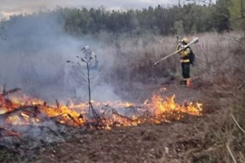 Un incendio ya afectó cerca de 5.000 hectáreas de bosque nativo