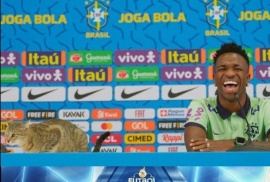 un gato interrumpió la conferencia de prensa de Vinicius JR