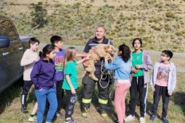 Bomberos rescataron a un perro