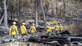 El Área Naval Austral brinda apoyo para combatir los incendios forestares en Tolhuin