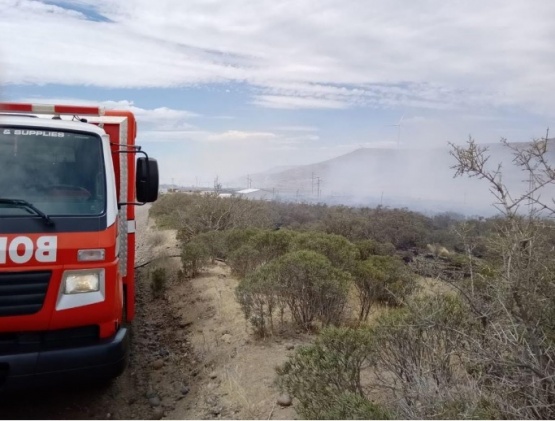 Acudió al lugar personal de bomberos.