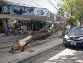 Alerta Naranja por vientos en Río Gallegos: Caídas de postes y cortes de luz por el temporal