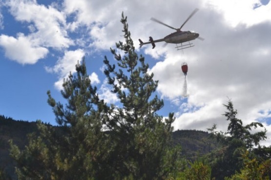 Incendio forestal en 