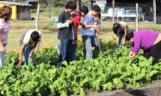 Después de la pandemia, más familias decidieron poner huertas