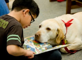 Cómo es la original terapia con perros que permite que los niños mejoren la lectura