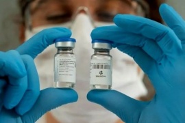 Hoy comienza la distribución de vacunas bivalentes en todo el país