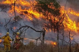 Ley de Humedales: estiman que los incendios podrían costarle al país entre USD 1.100 y 3.700 millones por año