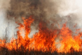 Incendio forestal en Río Negro: brigadistas trabajan para contener el fuego