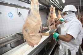 Argentina sumó un nuevo mercado: Argelia habilitó la exportación de carne con hueso