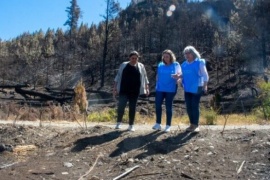 Trabajo en conjunto para ayudar a los afectados por los incendios forestales