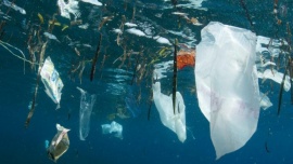 La curiosa manera con la que planean detectar residuos plásticos en el Mar Argentino