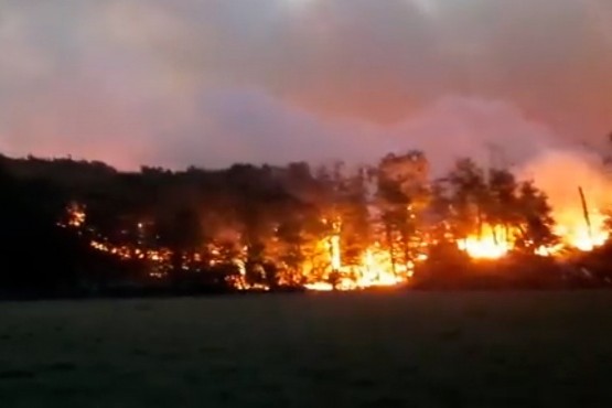 Dos meses del incendio forestal en Tolhuin: “Está controlado pero estamos en alerta ambiental en Tierra del fuego