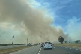 Incendio forestal en Villa Gesell y Cariló: siete dotaciones de bomberos trabajan para extinguir el fuego
