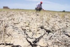 El Banco Central mejoró las condiciones de financiamiento para productores afectados por la sequía