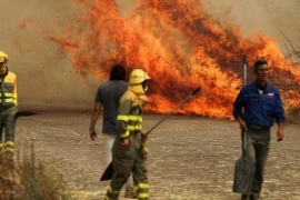 Chile declaró el estado de alerta por una ola de incendios forestales que afecta al centro del país