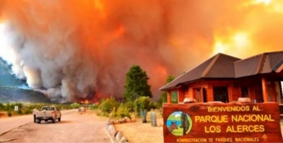 Incendios en el Parque Nacional Los Alerces podrían ser intencionales. 
