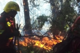 Brigadistas en intensa labor para controlar incendio en Lago Cholila