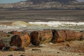 Temporada de Verano 2023: las actividades que se realizan en las localidades de Fitz Roy y Jaramillo