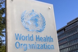 Alerta por el virus de Marburgo: la Organización Mundial de la Salud (OMS) convocó a una reunión por un brote en Guinea Ecuatorial