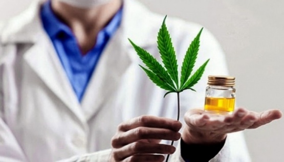 Crece el uso del cannabis medicinal y la población comienza a desestigmatizar el consumo
