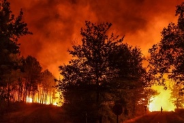 Cuatro provincias registran incendios forestales activos