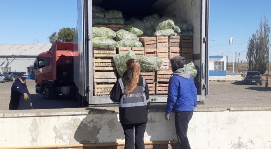 Decomisan en Río Gallegos 2.960 kilos de frutas y hortalizas