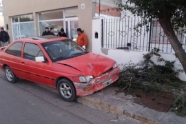 En estado de ebriedad chocó contra un árbol