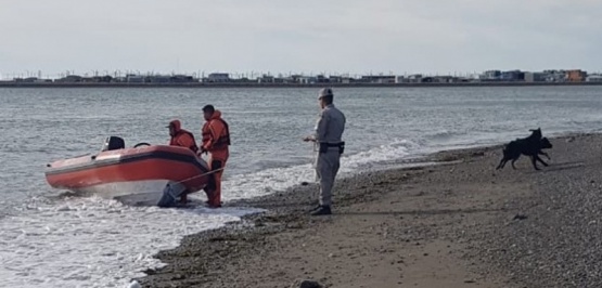 Prefectura rescató a dos perros en Río Grande