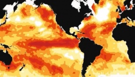 Ahora identifican más olas de calor en el fondo del océano