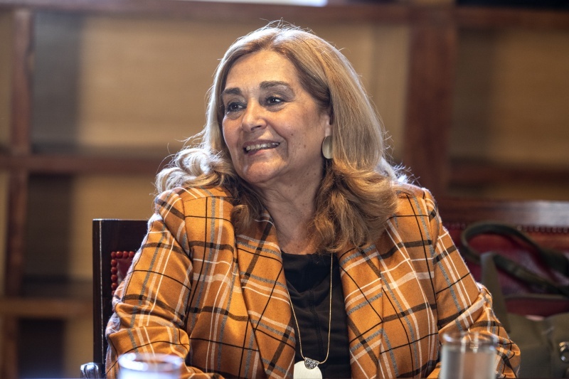 Fernanda Gil Lozano, directora del Centro Internacional para la promoción de derechos humanos. 
