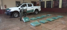 Hallan más de 301 kilos de marihuana entre la maleza