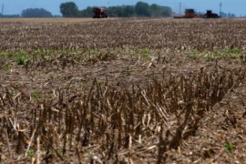 Sequía: evalúan bajar la tarifa de luz para productores agropecuarios